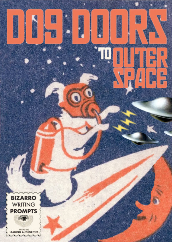 Dog Doors to Outer Space